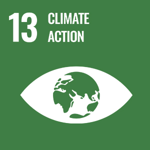 UN Sustainable Development Goals - Climate action