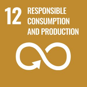UN Sustainable Development Goals - Responsible consumption and production